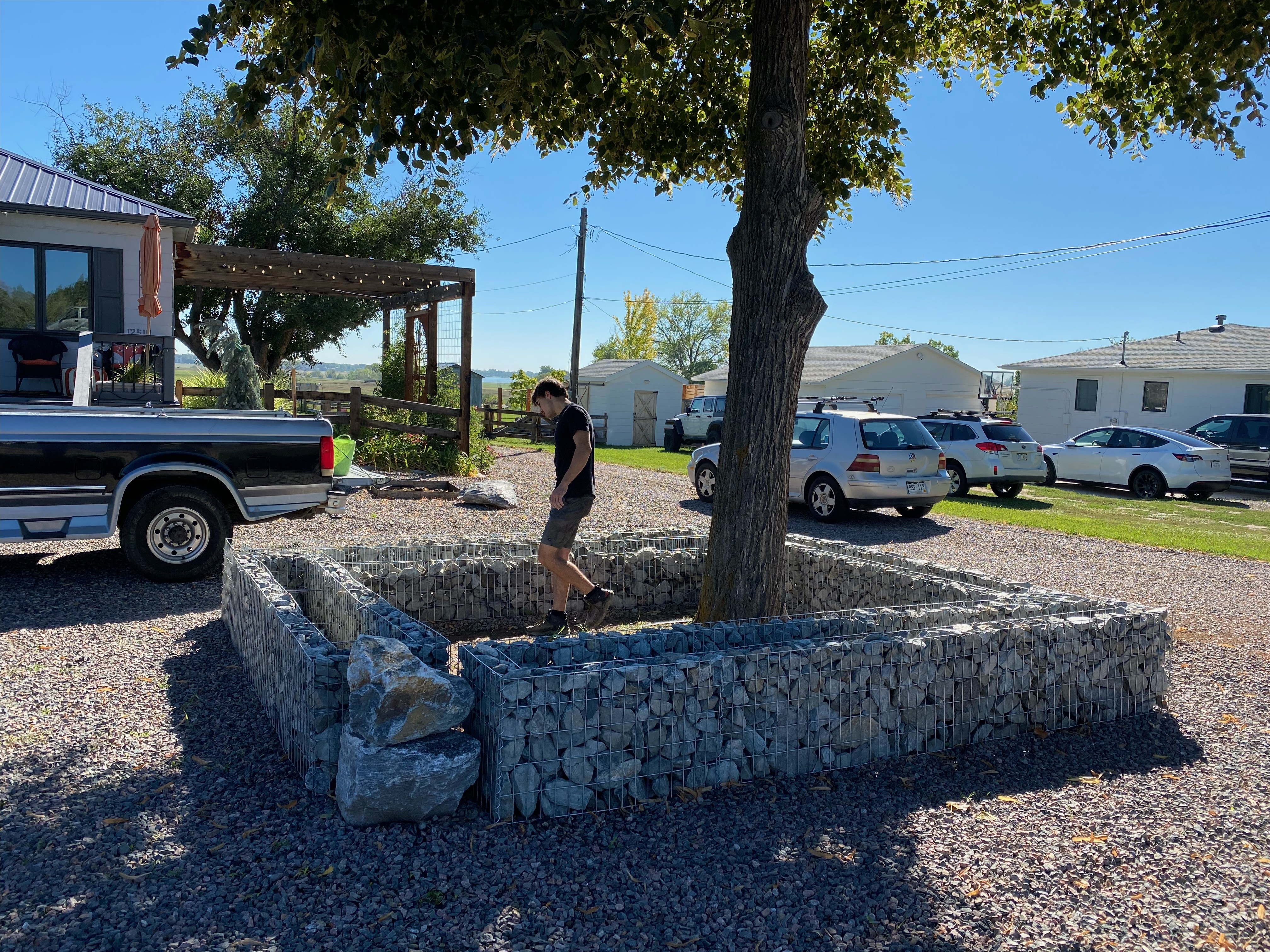 Gabion wall around tree