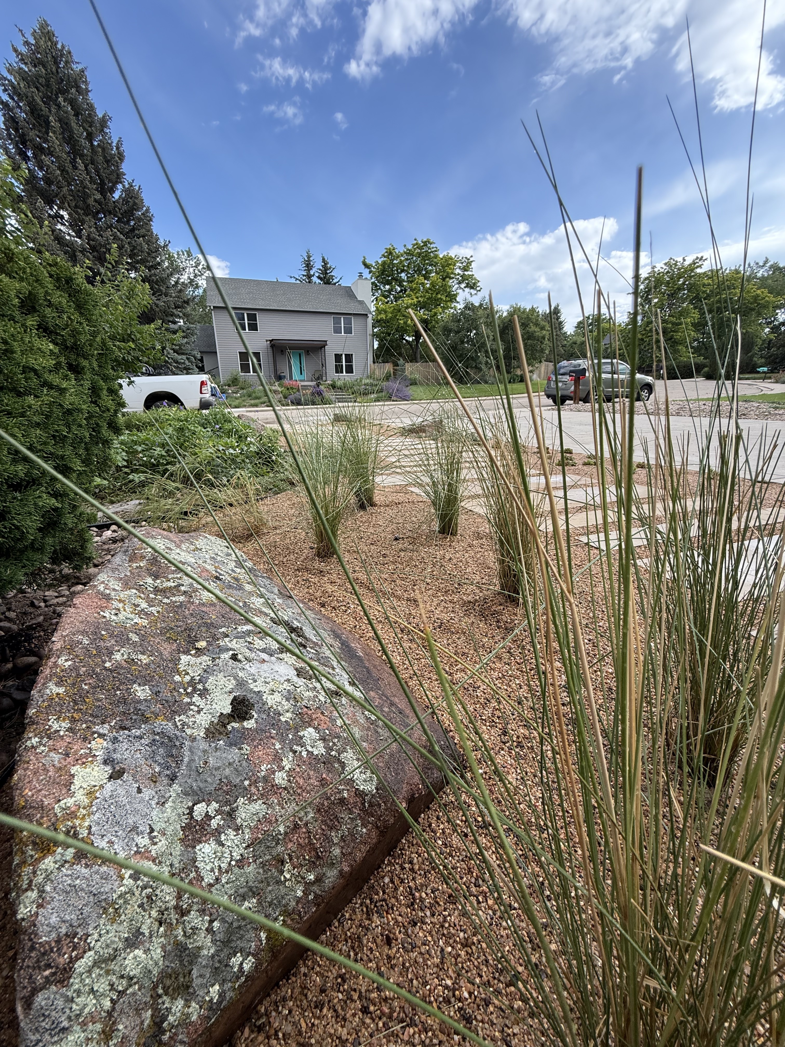 Regenerative xeriscape with ornamental grasses