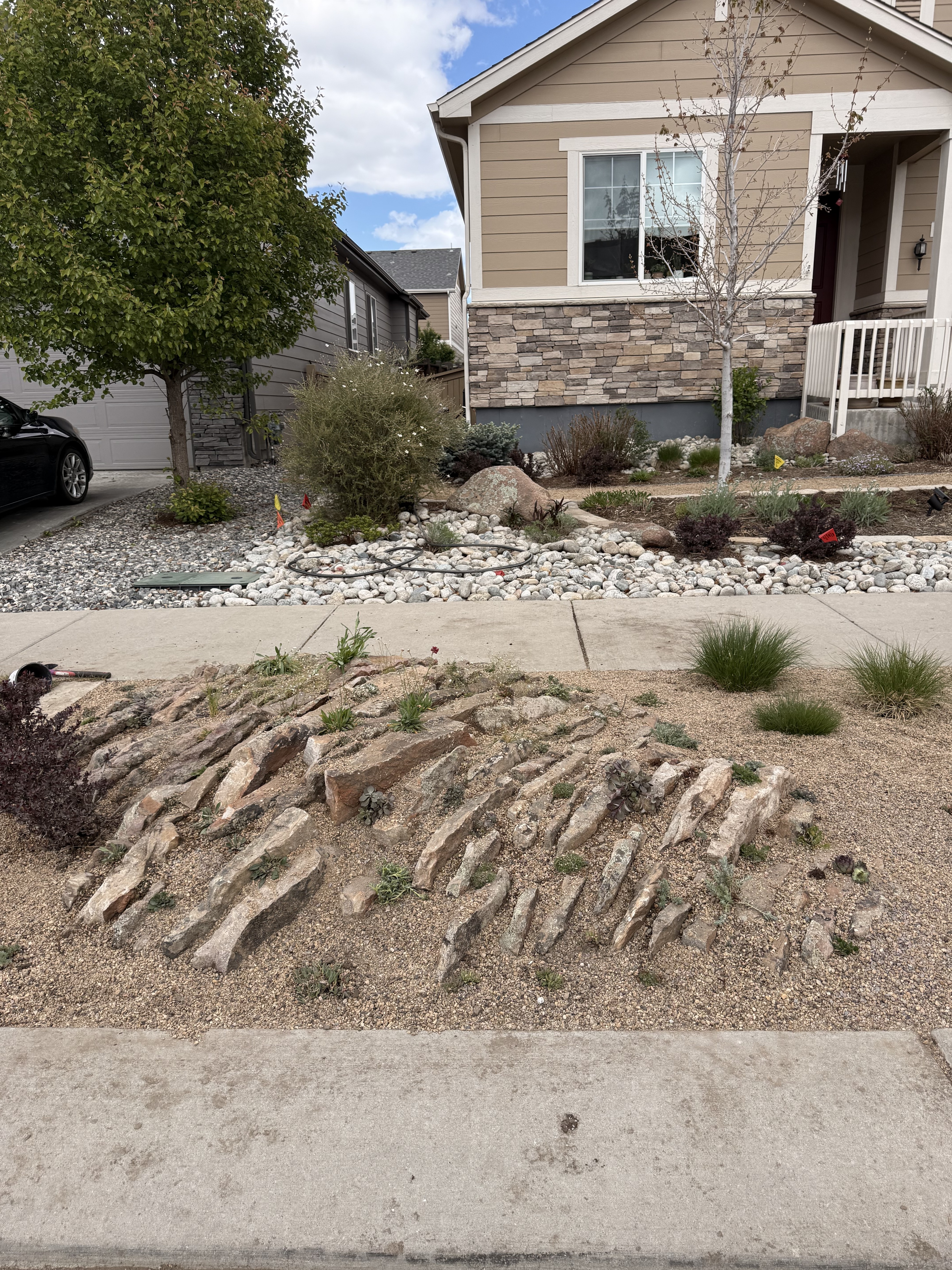 Regenerative xeriscape with native plants